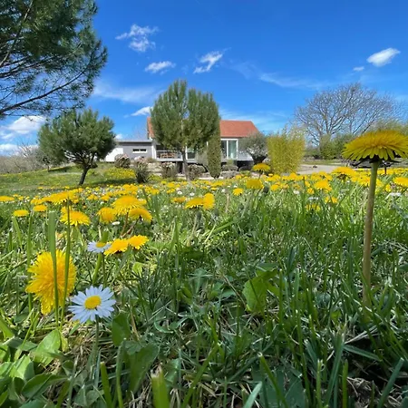 Causses Cocottes 4 Epis De France Et 4 Etoiles Meuble De Tourisme Maison D'architecte Sur 5800 M2 De Terrain Βίλα Salvagnac-Cajarc