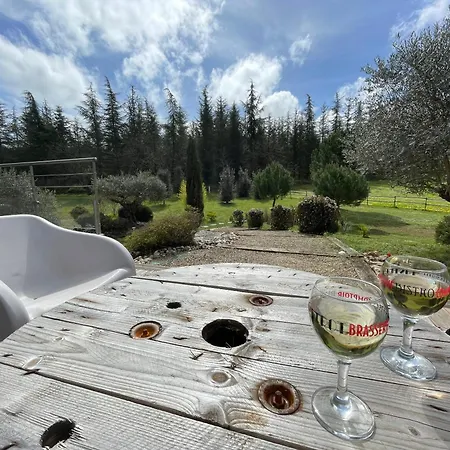 Βίλα Causses Cocottes 4 Epis De France Et 4 Etoiles Meuble De Tourisme Maison D'architecte Sur 5800 M2 De Terrain Salvagnac-Cajarc
